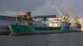 arklow future - Penhoet - 10 fevrier 2010 (01).JPG